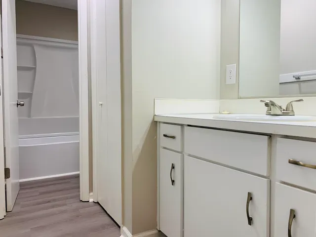 a bathroom with a sink and a mirror