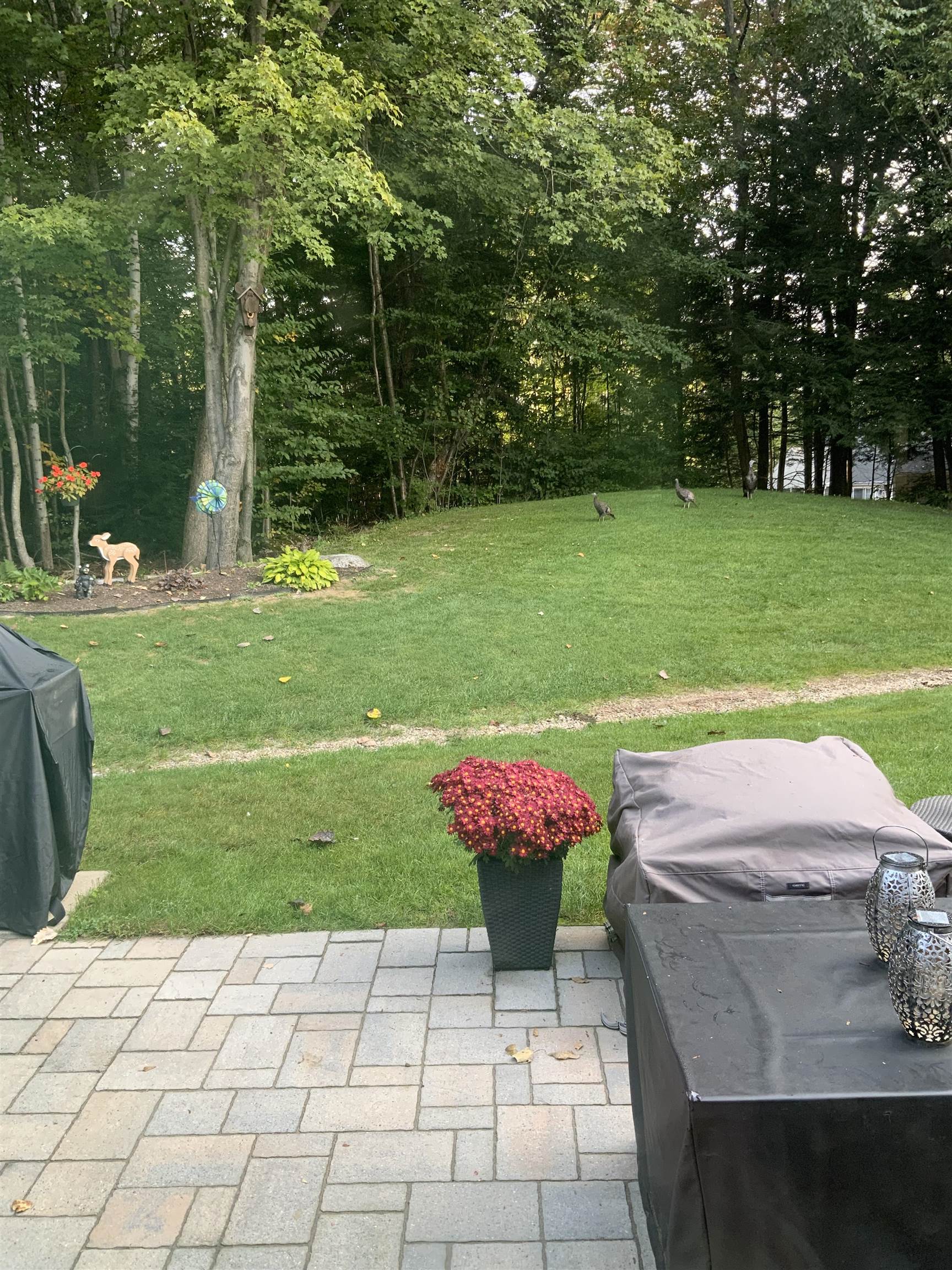 10 Independence Way, Unit A Laconia, NH 03246 - Photo 45 of 58