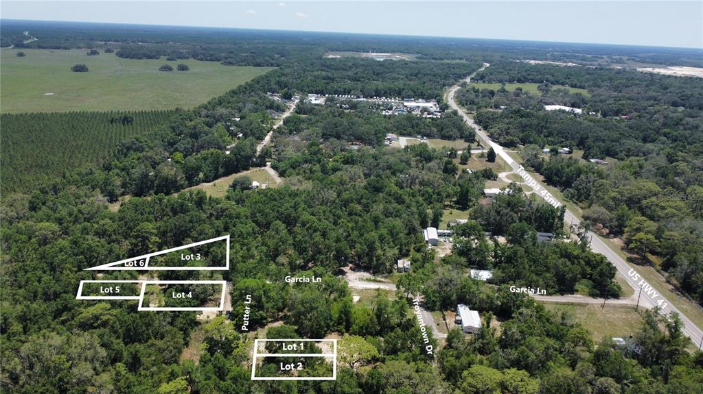17308 Putter Ln Spring Hill Spring Hill, FL 34610 - Photo 6 of 7 an aerial view of residential houses with outdoor space and trees