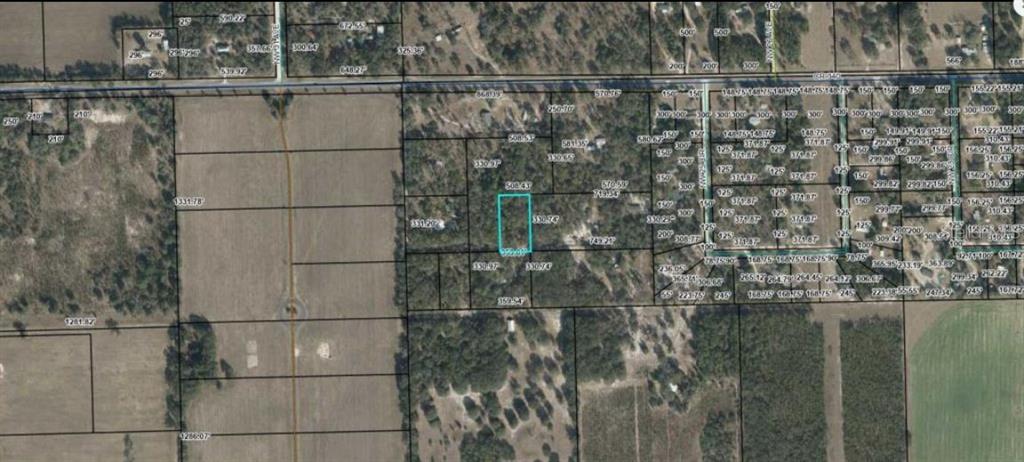 Cr-340 Bell, FL 32619 - Photo 4 of 8