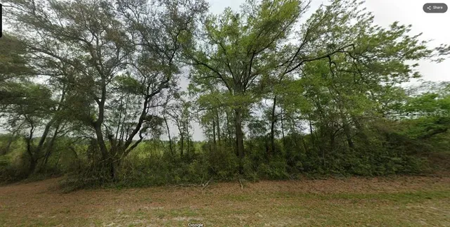 $45,300 | Cr-340, Bell, FL 32619