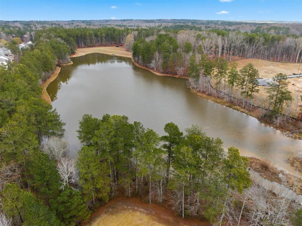 61 Rushing View Glen Dallas, GA 30157 - Photo 53 of 54 an aerial view of valley and lake