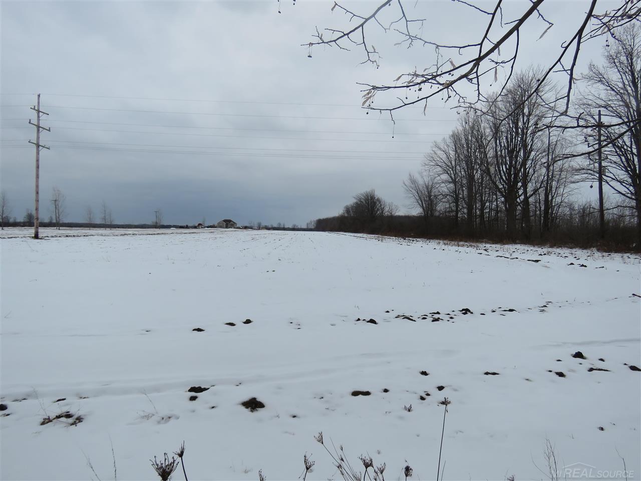0 Fisher Road Avoca, MI 48006 - Photo 4 of 6