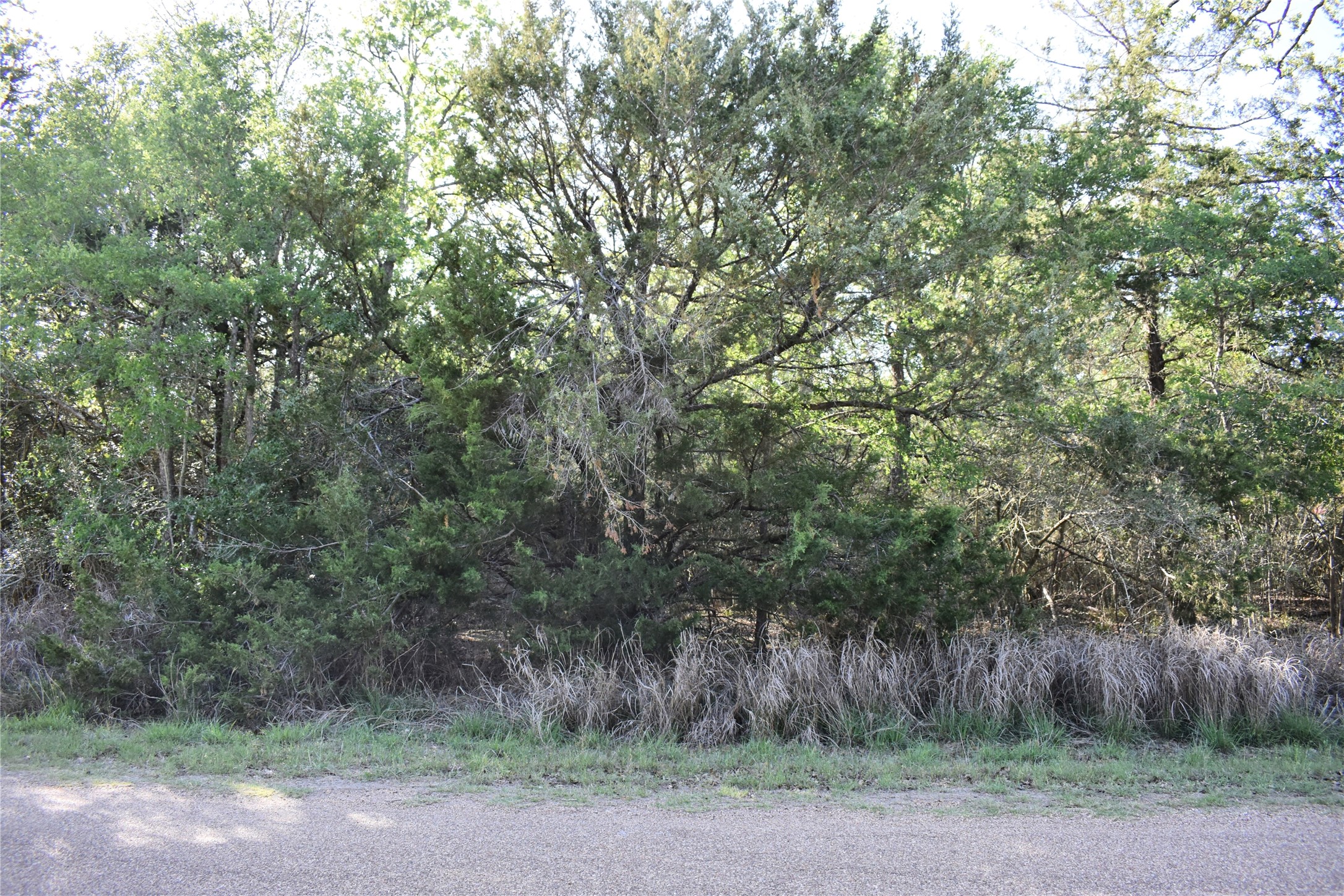 511 Deer Run Trail Somerville, TX 77879 - Photo 4 of 11