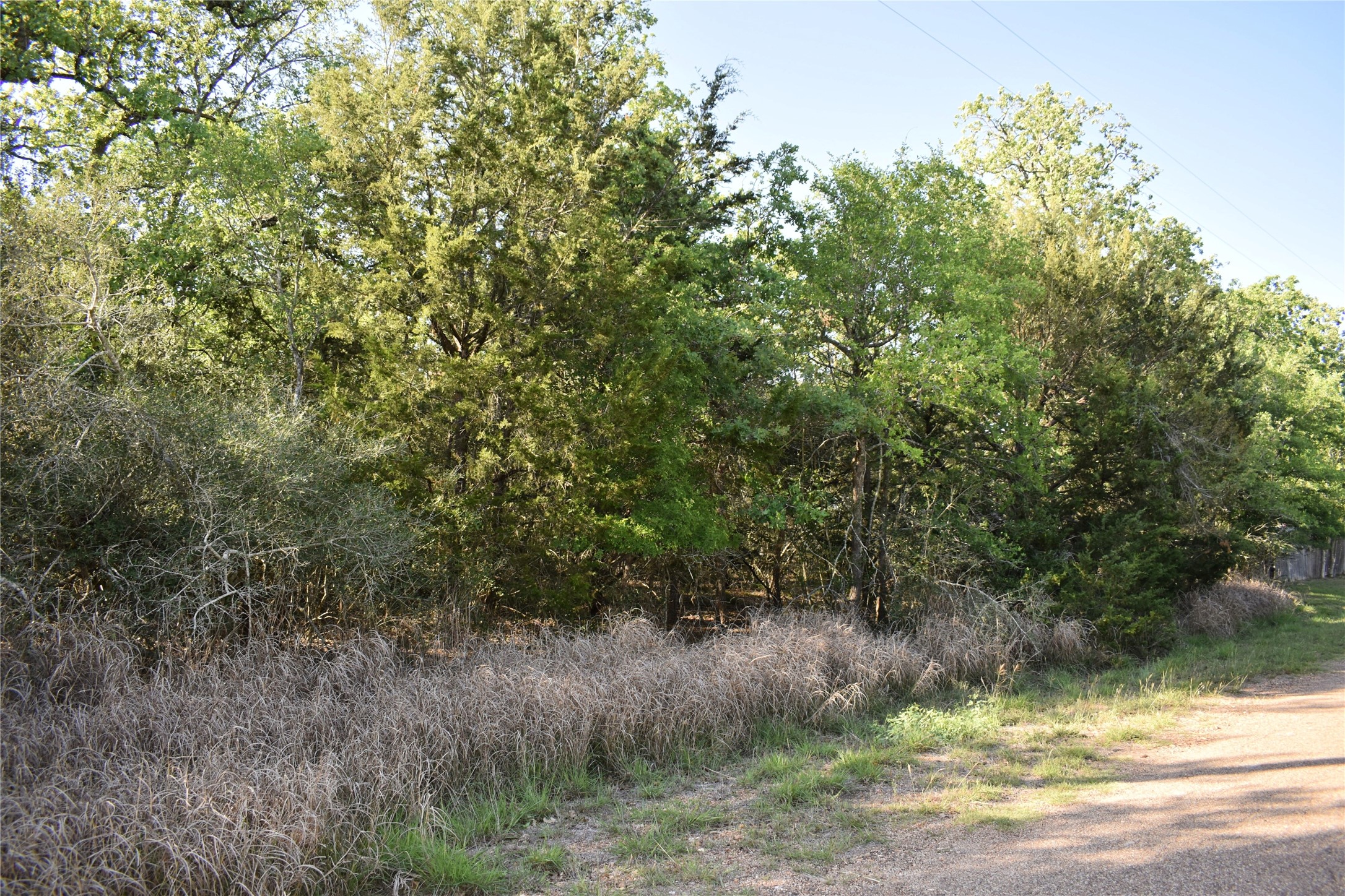 511 Deer Run Trail Somerville, TX 77879 - Photo 5 of 11