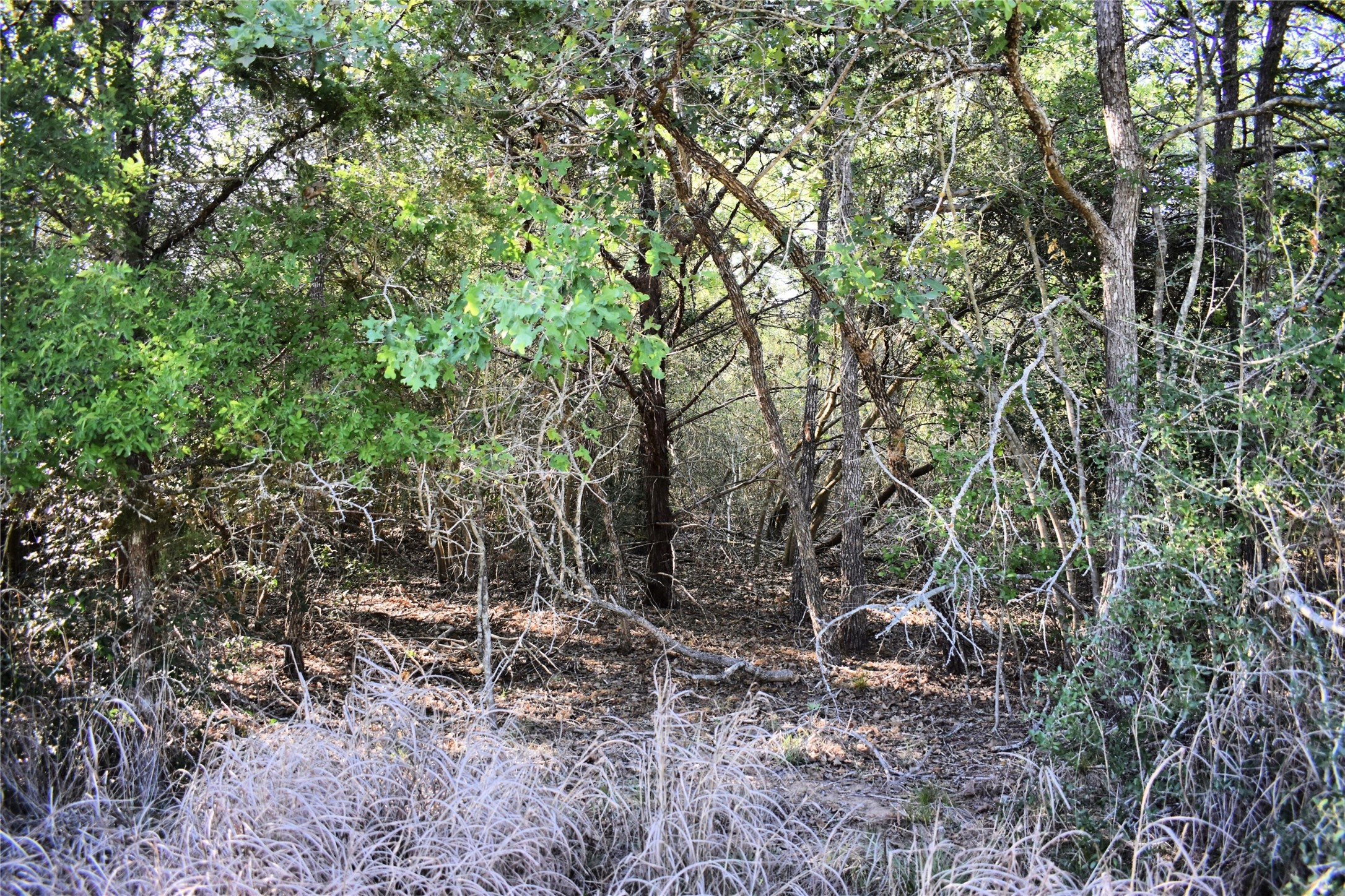 511 Deer Run Trail Somerville, TX 77879 - Photo 9 of 11