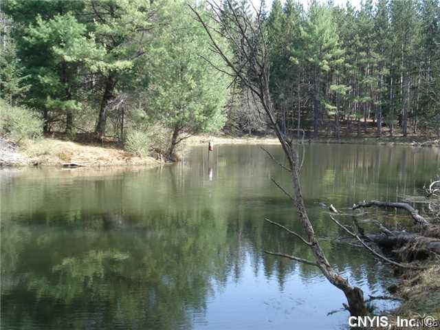 0 State Rte 244 Alfred Station, NY 14803 - Photo 1 of 1 Land