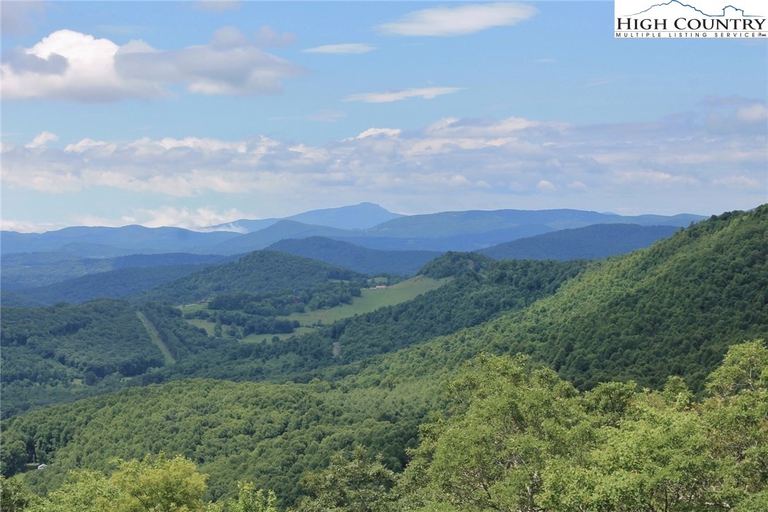 1874 Homestead Road Todd, NC 28684 - Photo 3 of 33 Gallery Image 3