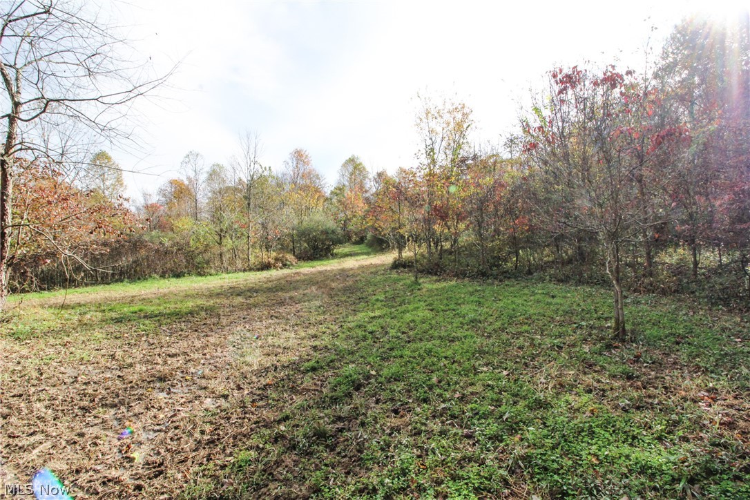 Sleepy Elm Road Southwest Newcomerstown, OH 43832 - Photo 4 of 20 Gallery Image 4