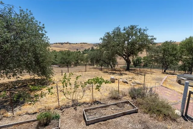 a view of a dry yard