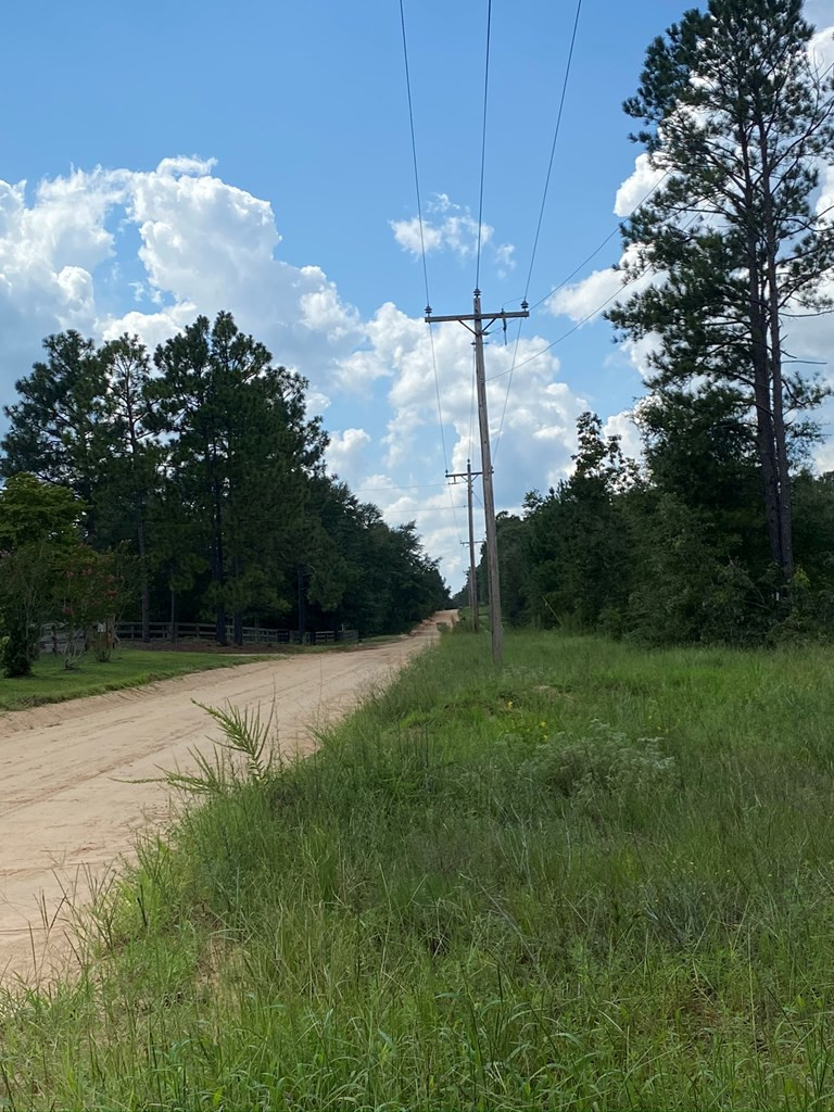 487 Pine Acres Road Windsor, SC 29856 - Photo 17 of 21