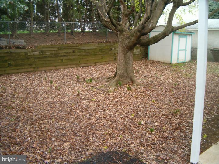 3124 Welsh Road Philadelphia, PA 19136 - Photo 5 of 20 Back Yard
