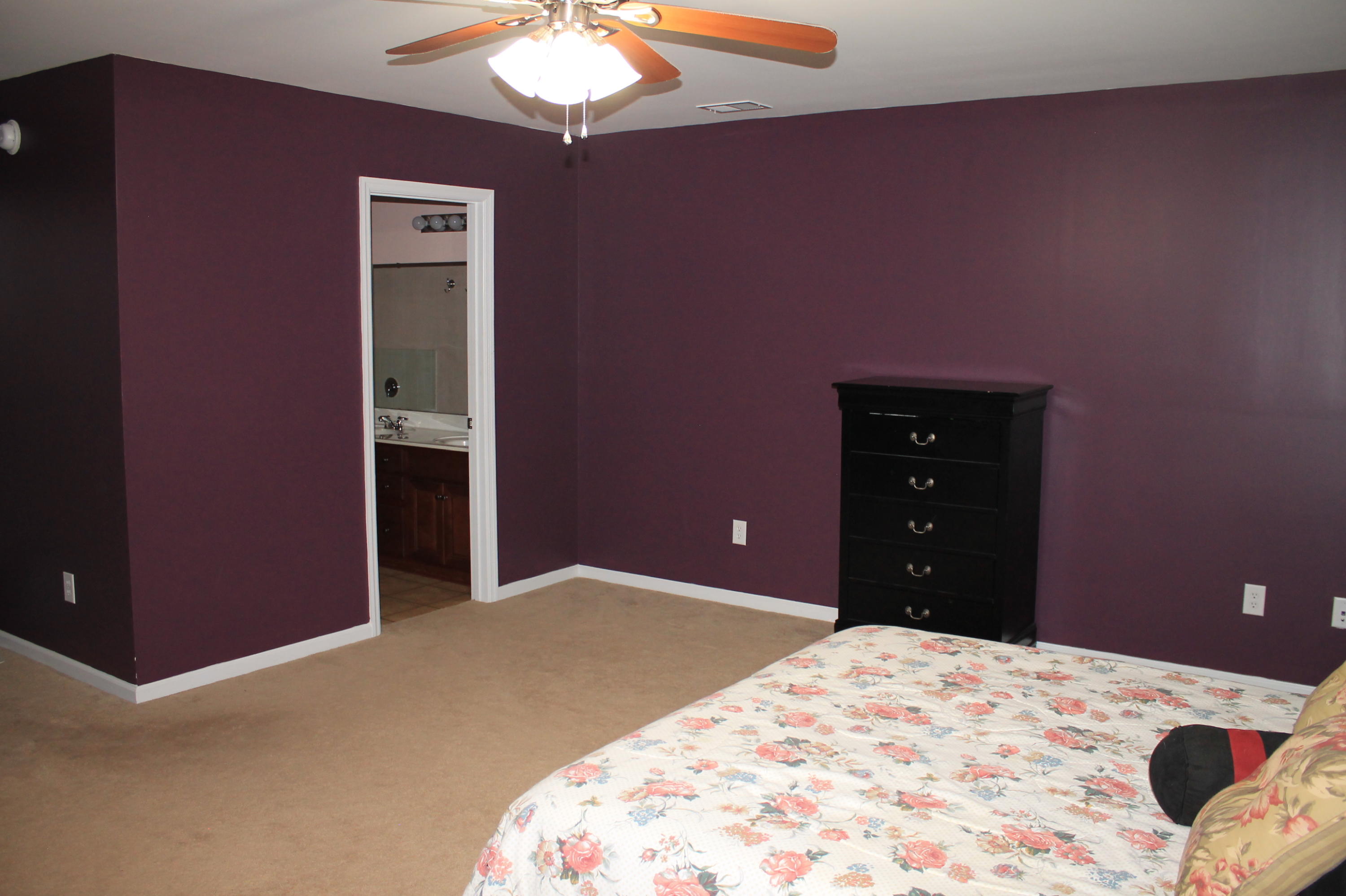 515 Magwood Road Summerville, SC 29486 - Photo 8 of 21 2nd Floor Master