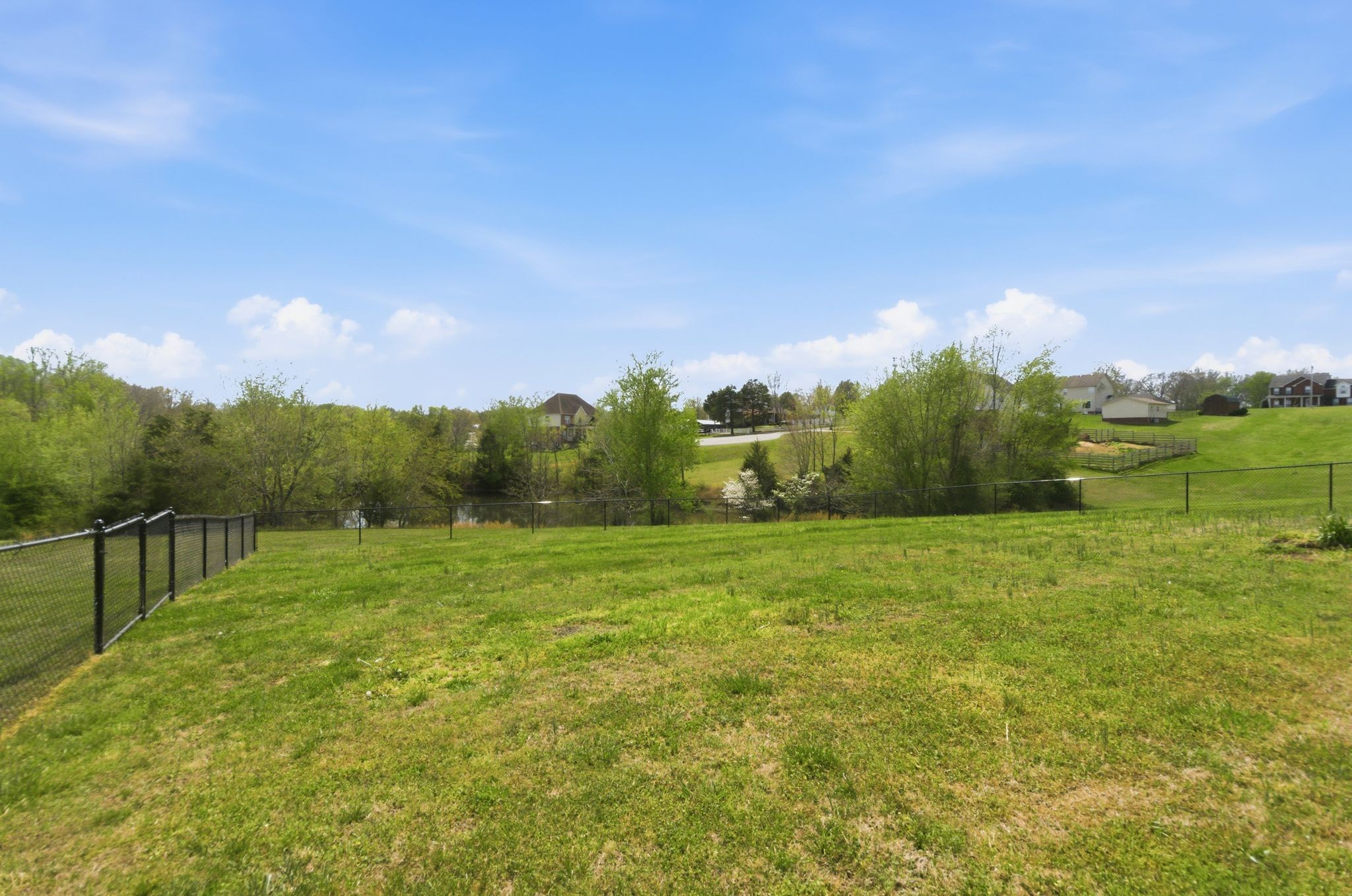 163 Lena Loop Burns, TN 37029 - Photo 12 of 64