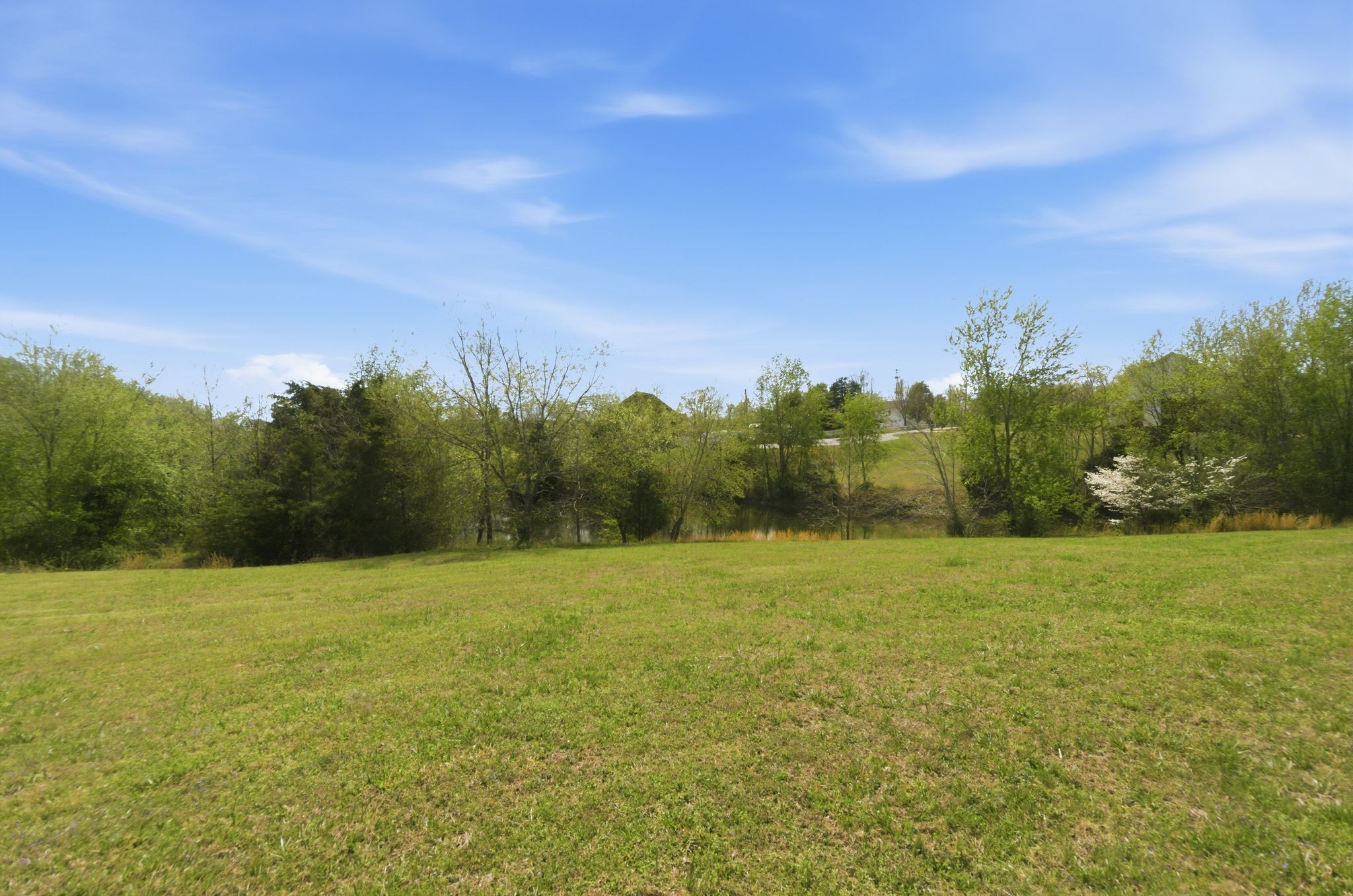 163 Lena Loop Burns, TN 37029 - Photo 13 of 64