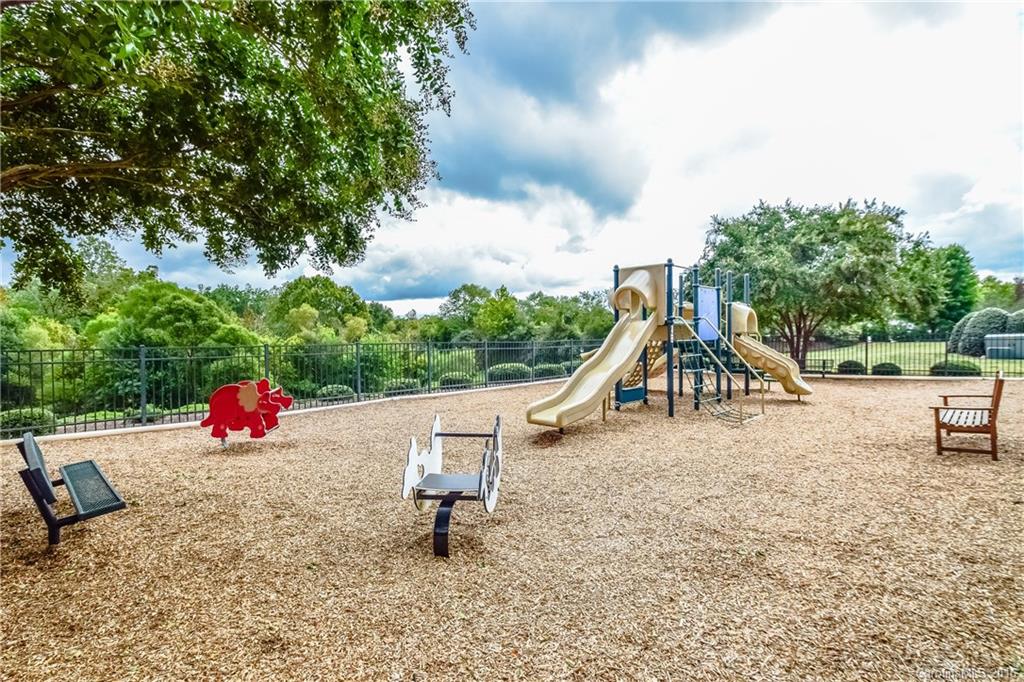 15739 Trenton Place Road Huntersville, NC 28078 - Photo 15 of 16 a view of outdoor space with swings and slides