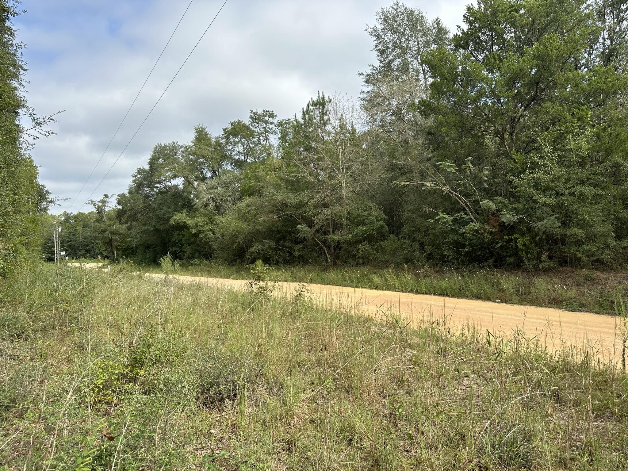 Tbd Valee Road Ponce de Leon, FL 32455 - Photo 11 of 17 IMG_4048