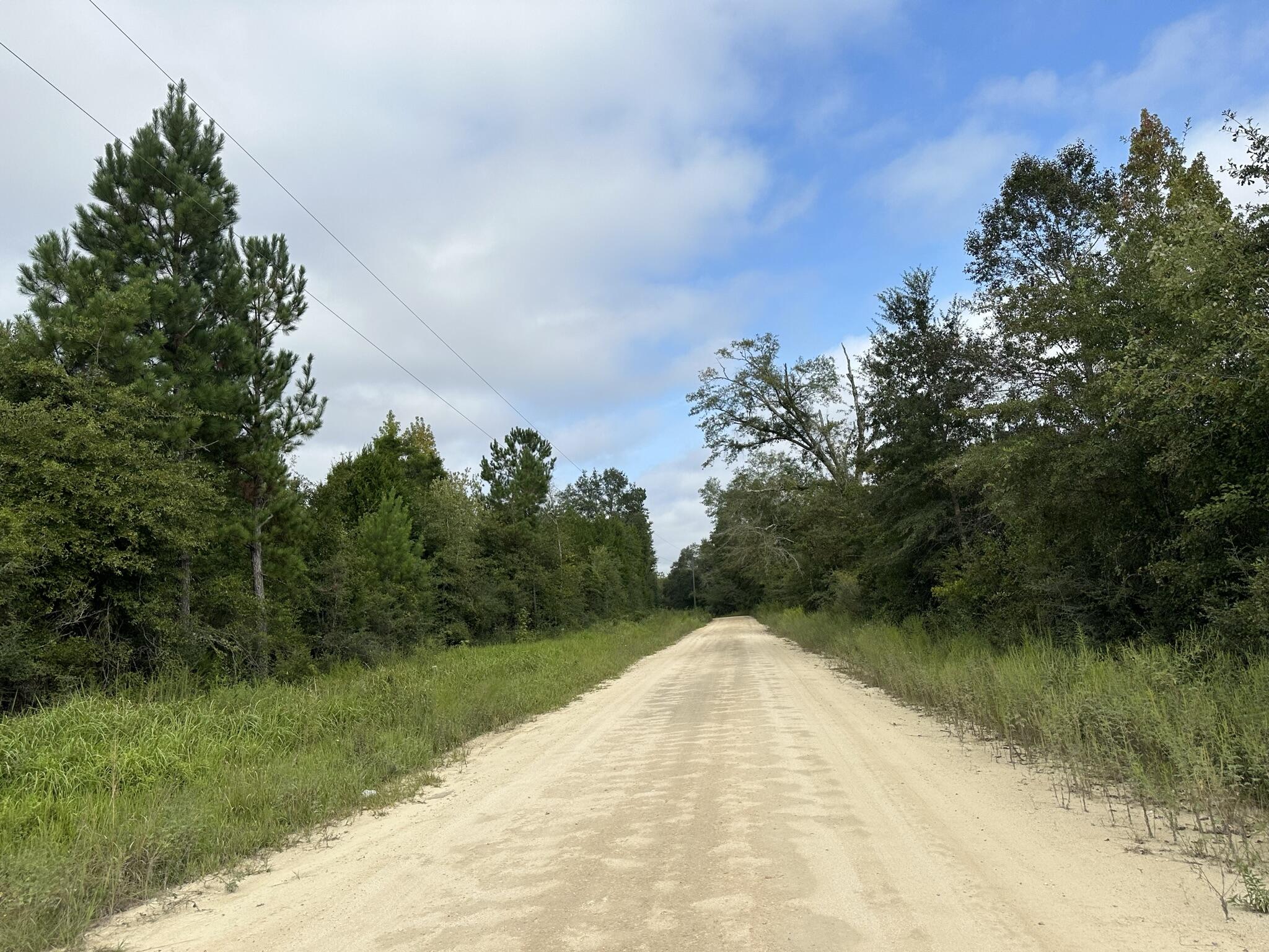 Tbd Valee Road Ponce de Leon, FL 32455 - Photo 2 of 17 IMG_4032