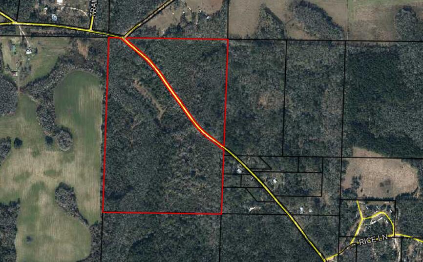 Tbd Valee Road Ponce de Leon, FL 32455 - Photo 6 of 17 Grant Land