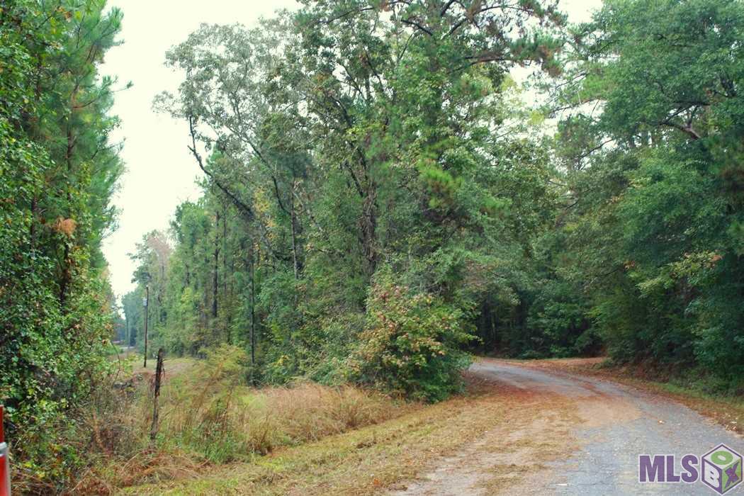 0 New Hope Road Meadville, MS 39653 - Photo 12 of 13 Gallery Image 12