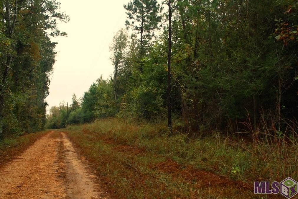 0 New Hope Road Meadville, MS 39653 - Photo 2 of 13 Gallery Image 2