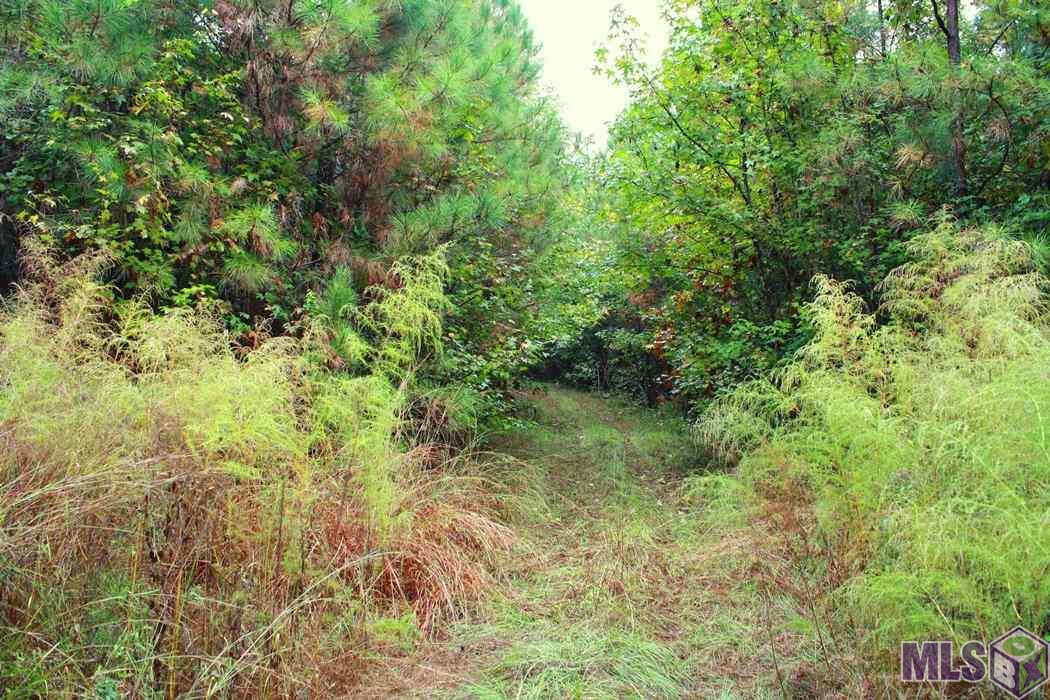 0 New Hope Road Meadville, MS 39653 - Photo 3 of 13 Gallery Image 3
