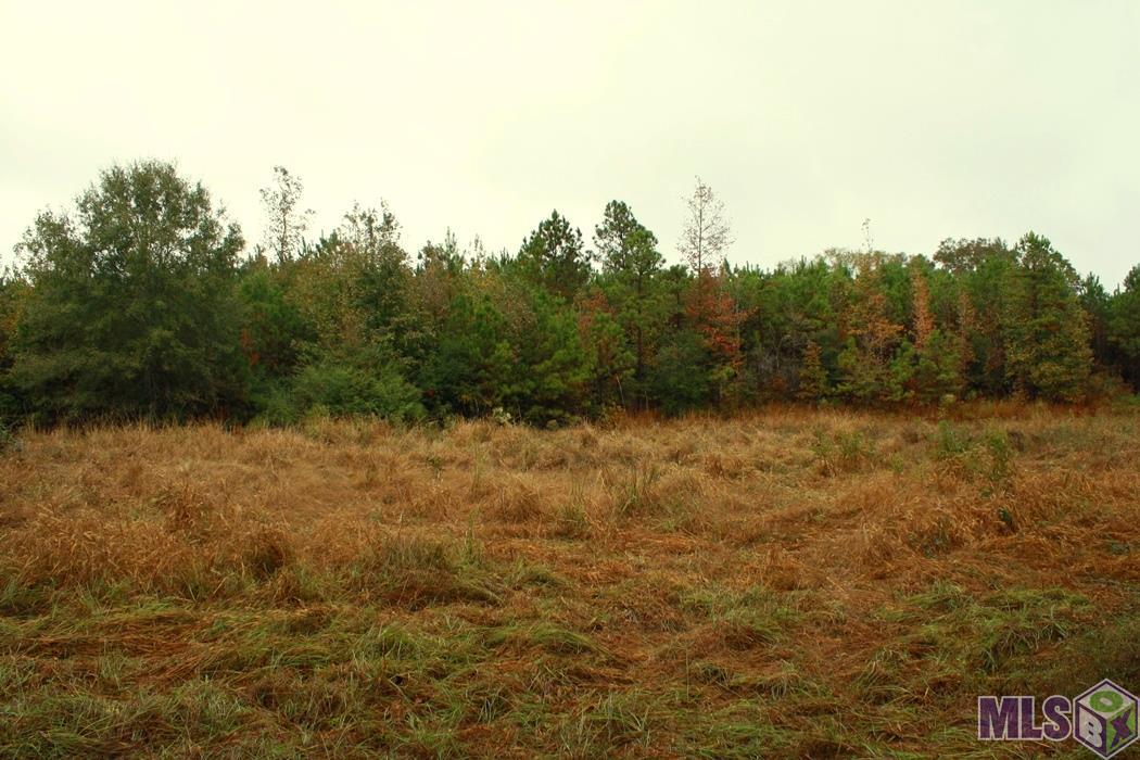 0 New Hope Road Meadville, MS 39653 - Photo 4 of 13 Gallery Image 4