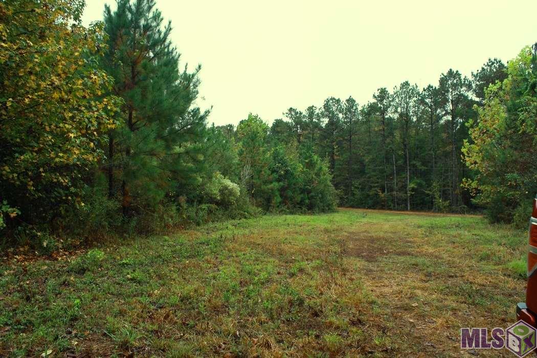 0 New Hope Road Meadville, MS 39653 - Photo 7 of 13 Gallery Image 7