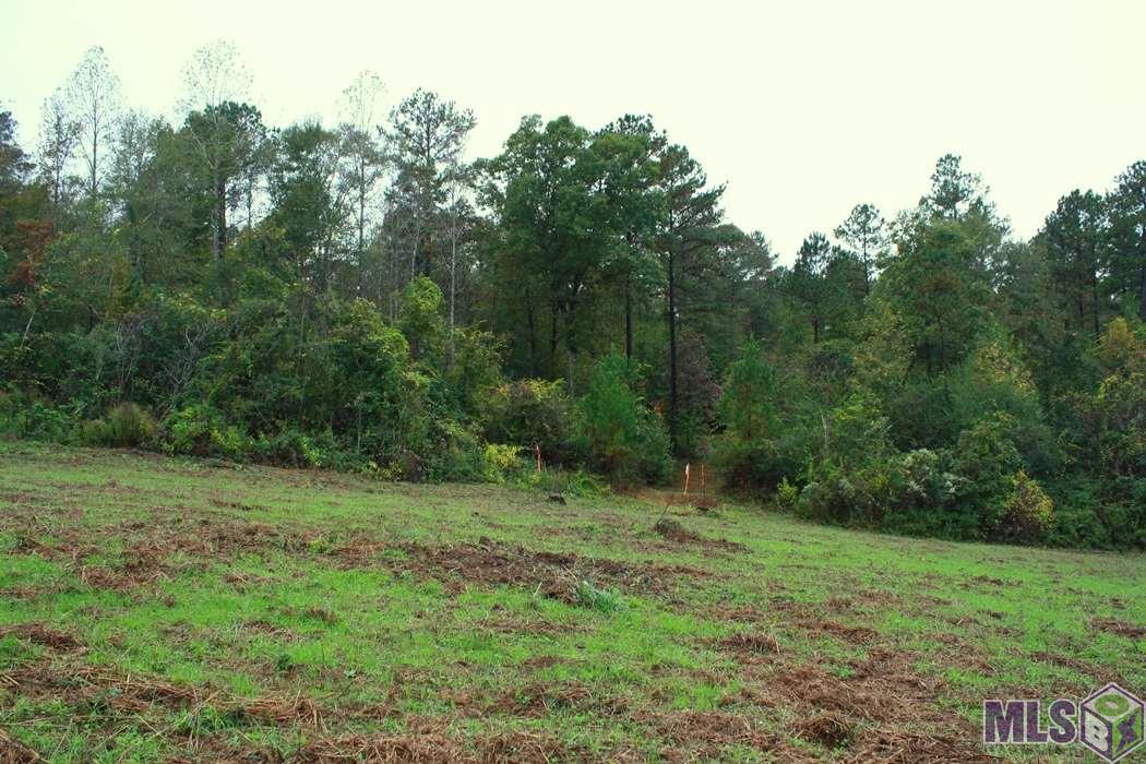 0 New Hope Road Meadville, MS 39653 - Photo 8 of 13 Gallery Image 8
