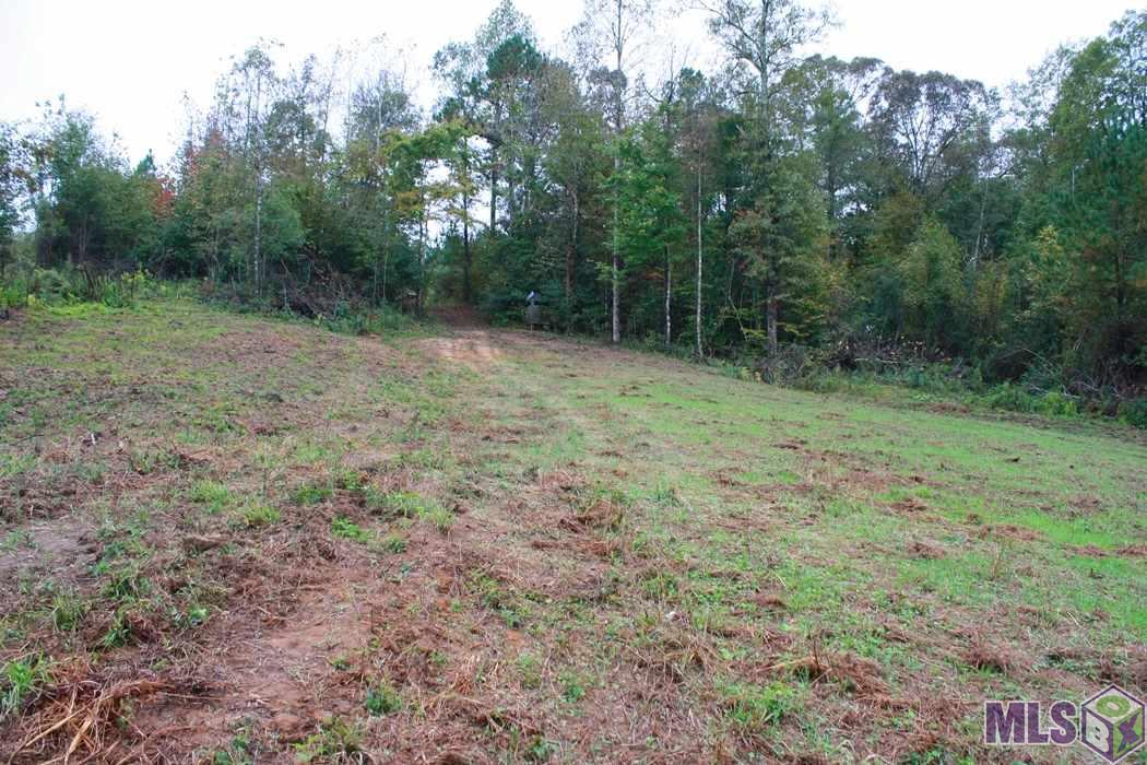 0 New Hope Road Meadville, MS 39653 - Photo 9 of 13 Gallery Image 9