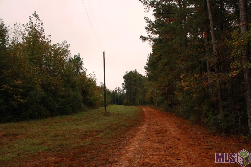0 New Hope Road Meadville, MS 39653 - Photo 10 of 13 Gallery Image 10