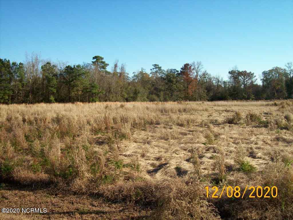 392 Hanchey Road Wallace, NC 28466 - Photo 2 of 2 100_6150