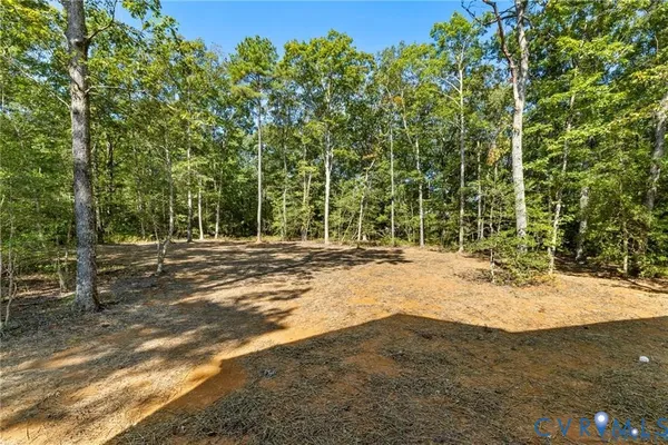 a view of a yard with large trees