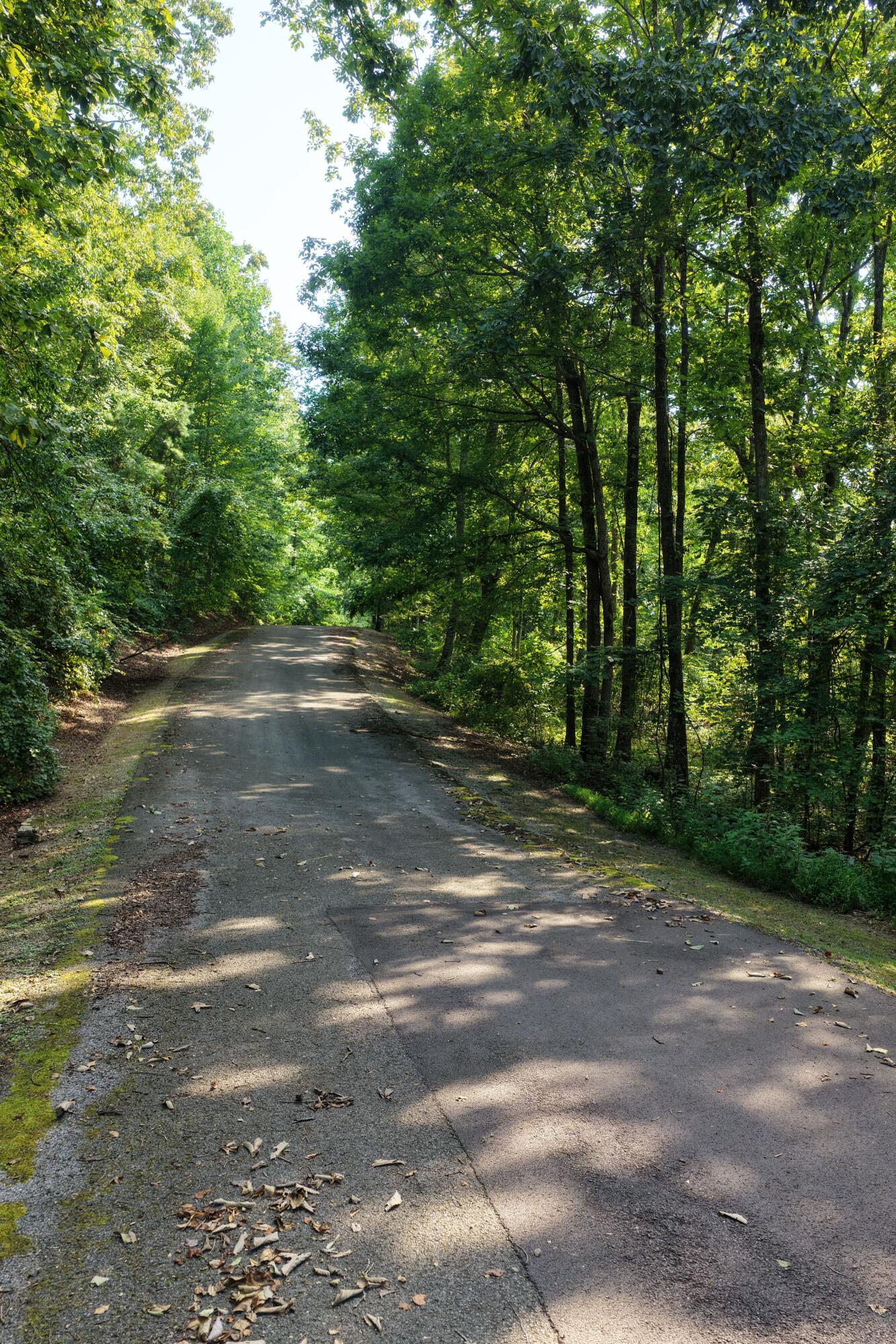 1 Bluffs Road North Guild, TN 37340 - Photo 43 of 52 BEVAP (41)