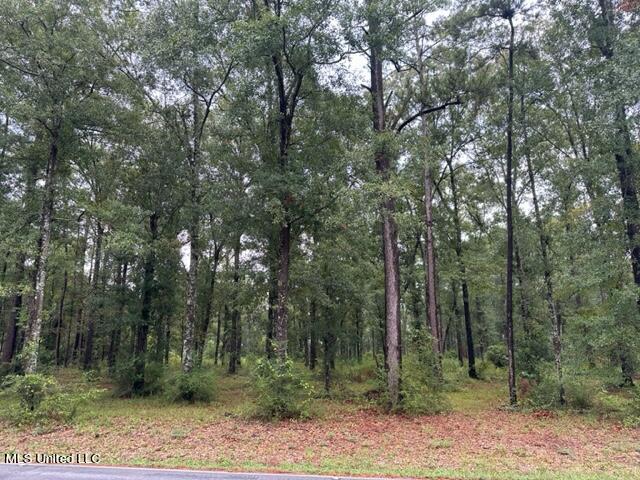 Shaw Road Gulfport, MS 39503 - Photo 1 of 5 shaw