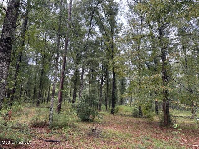 Shaw Road Gulfport, MS 39503 - Photo 2 of 5 IMG_3992