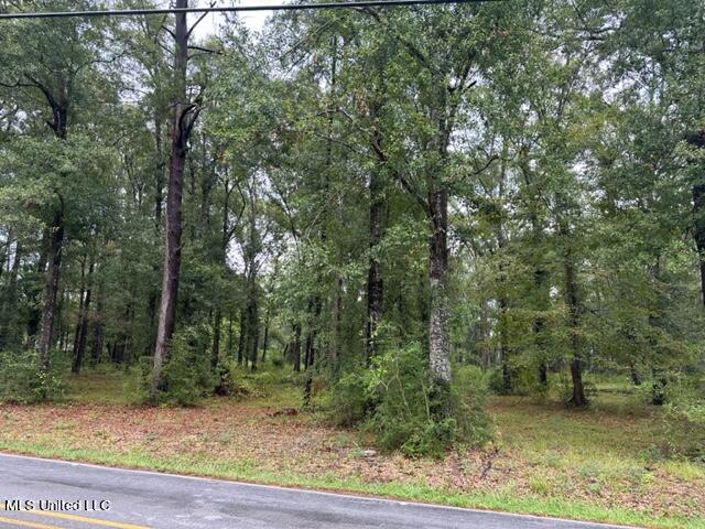 Shaw Road Gulfport, MS 39503 - Photo 3 of 5 IMG_3993