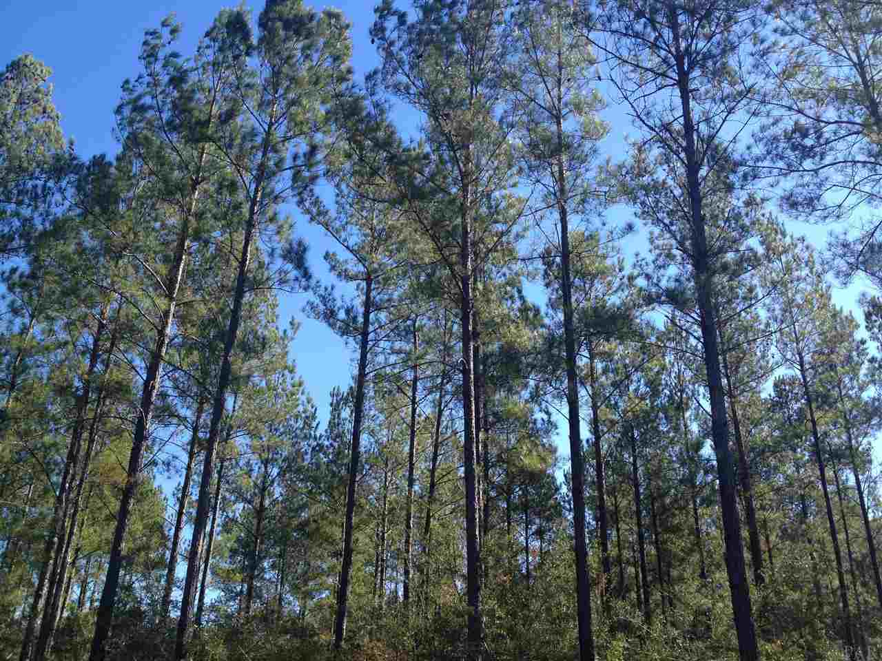 6790 Oser Road Milton, FL 32570 - Photo 2 of 6