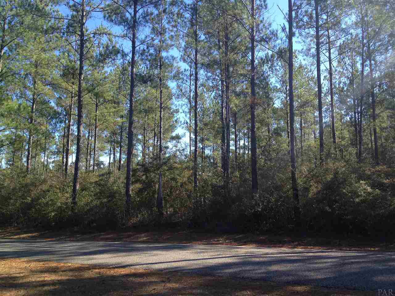 6790 Oser Road Milton, FL 32570 - Photo 3 of 6