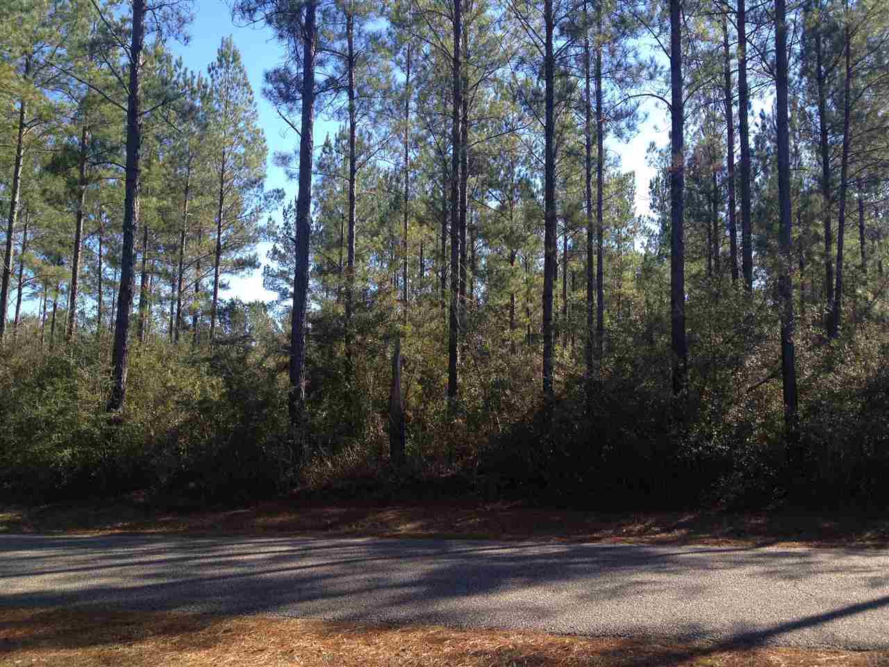 6790 Oser Road Milton, FL 32570 - Photo 4 of 6
