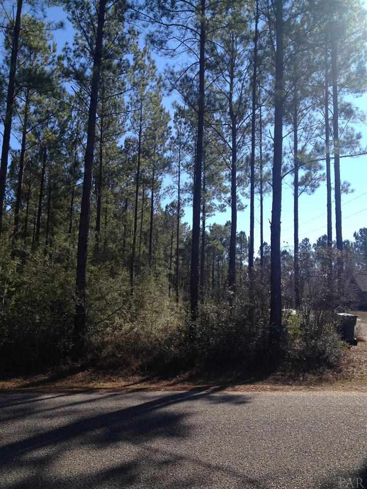 6790 Oser Road Milton, FL 32570 - Photo 6 of 6
