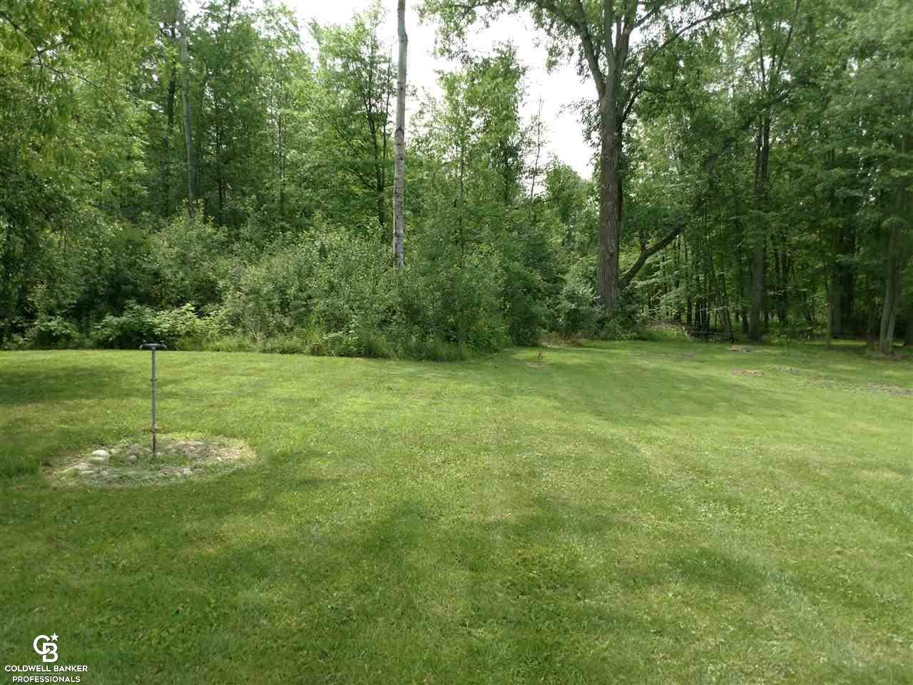 100 East Galbraith Line Road Melvin, MI 48454 - Photo 30 of 34 Backyard View 1