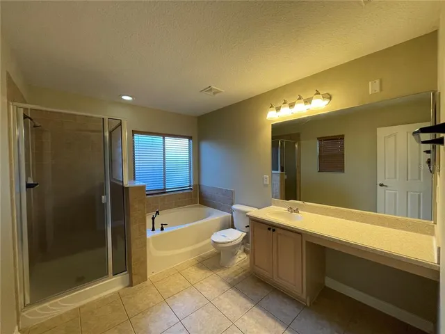 a bathroom with a double vanity sink toilet mirror and bathtub