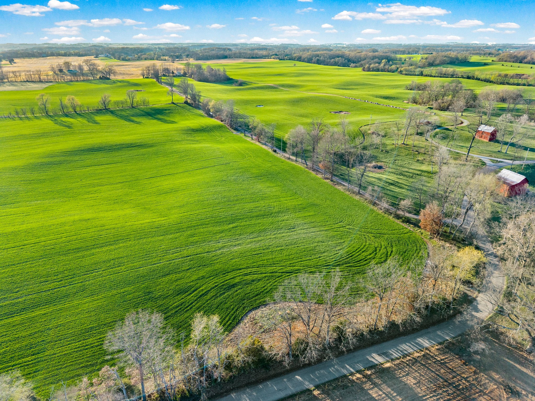 0 Wayman Dunn Road Springfield, TN 37172 - Photo 11 of 18