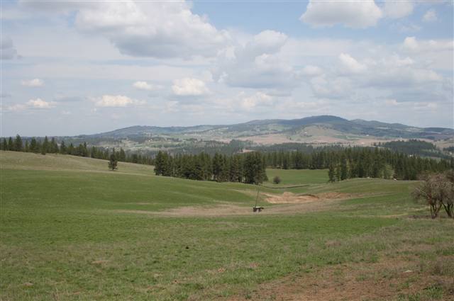 0 Stentz Road, Unit LOT 1 Spangle, WA 99031 - Photo 1 of 5