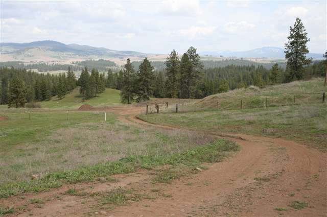 0 Stentz Road, Unit LOT 1 Spangle, WA 99031 - Photo 2 of 5