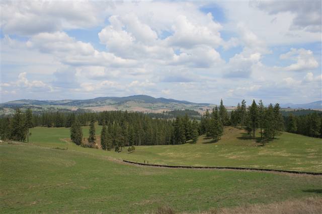 0 Stentz Road, Unit LOT 1 Spangle, WA 99031 - Photo 3 of 5