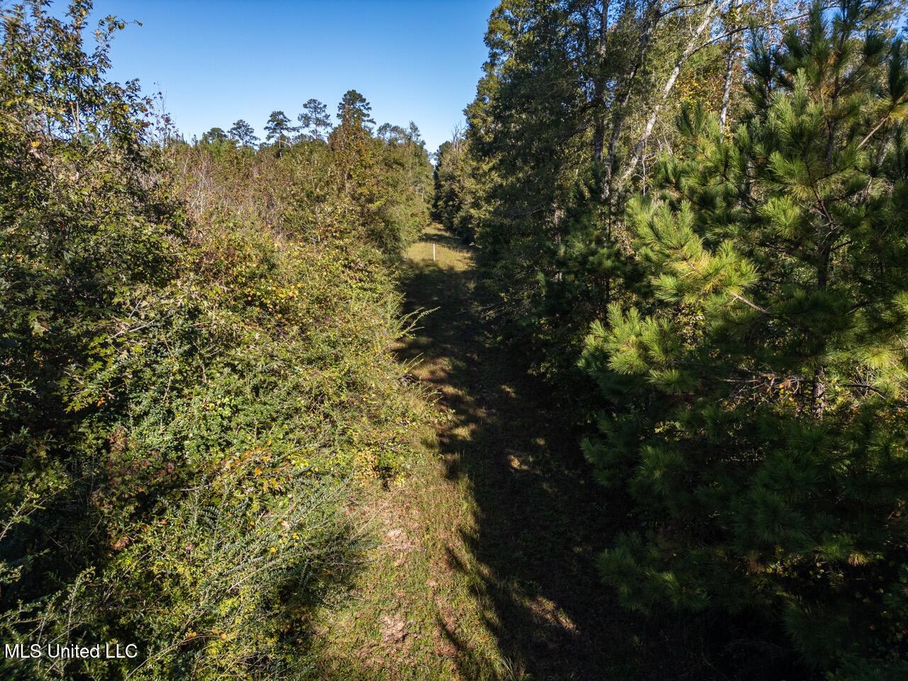 4058 McClain Road Liberty, MS 39645 - Photo 11 of 46 DJI_0864 Large