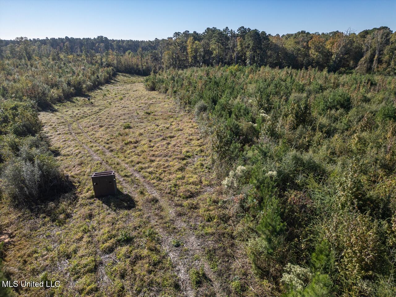 4058 McClain Road Liberty, MS 39645 - Photo 15 of 46 DJI_0882 Large