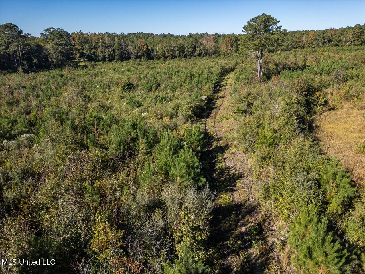 4058 McClain Road Liberty, MS 39645 - Photo 16 of 46 DJI_0883 Large
